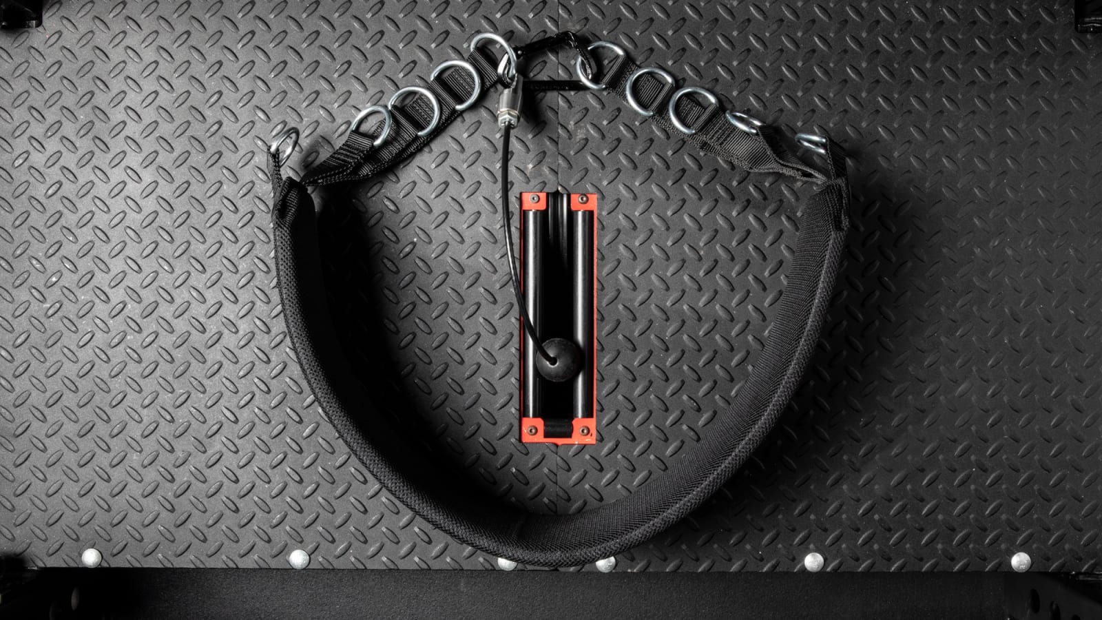 Rogue Multi Belt - Black | Rogue Fitness